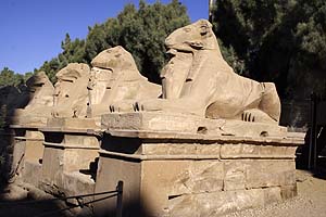 Sfingy s beran hlavou - Karnak
