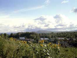 Katuň