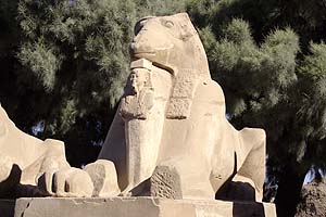 Sfinga s beraní hlavou - Karnak