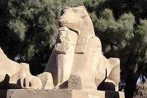 Sfinga s beran hlavou - Karnak