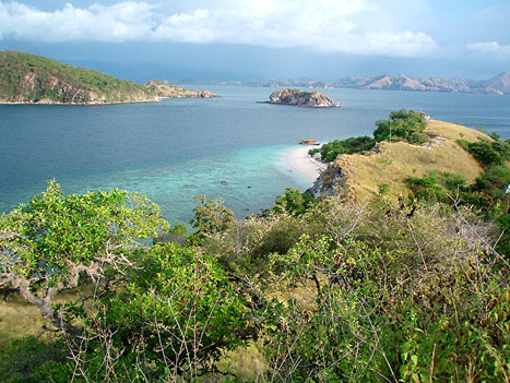 Ostrov Komodo
