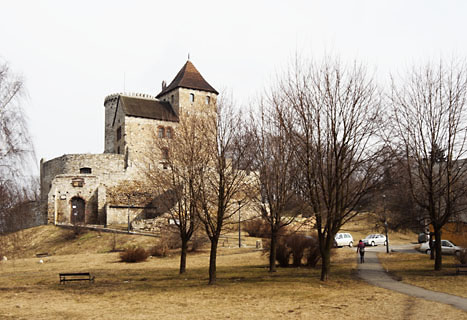 Hrad Bedzin