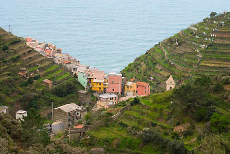 Manarola