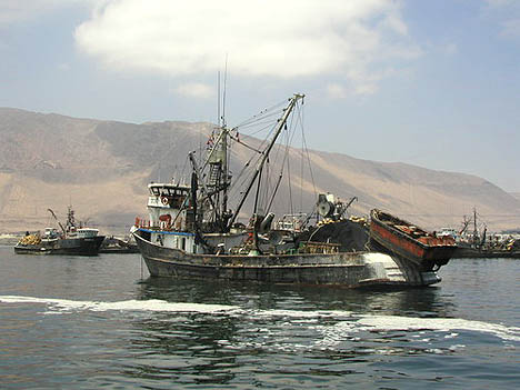 Inquique - rybářské lodě