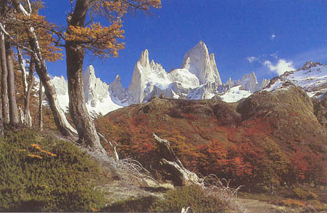 Cerro Fitz Roy