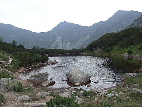 Druh pleso