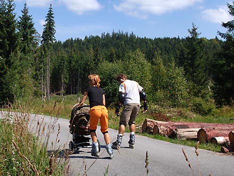 Šumava - in-line stezka.
