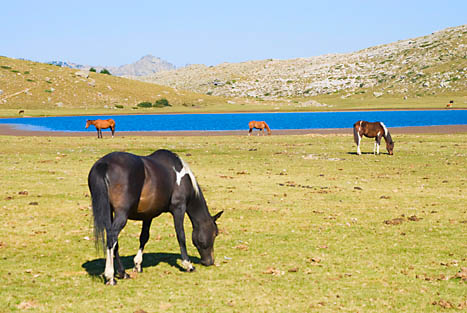 Jezero Nino