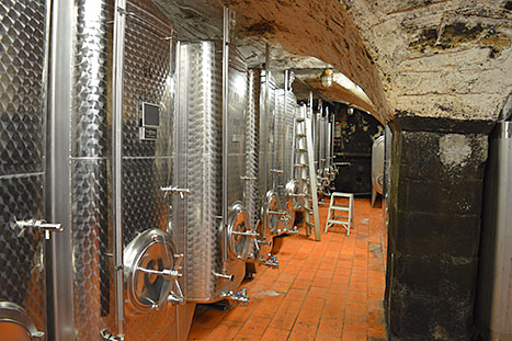 Moderní vinařský provoz