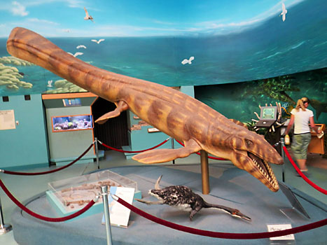 Přírodovědné muzeum v Albuquerque