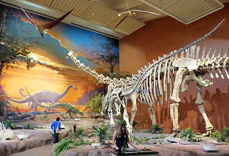 Přírodovědné muzeum v Albuquerque