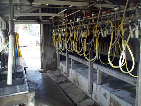 Kozí farma Pescadero