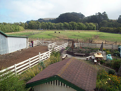 Kozí farma Pescadero