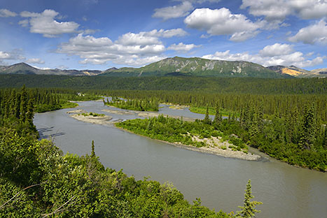 Nenana River