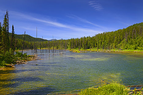 Jezero Green Bowl