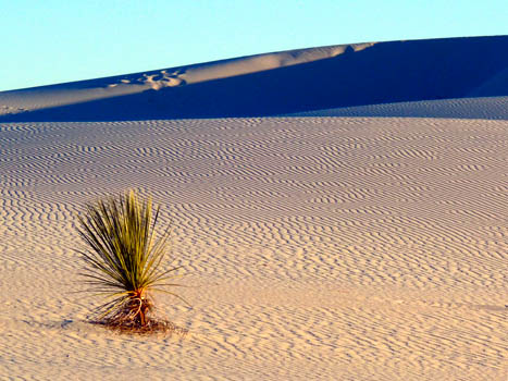 White Sands