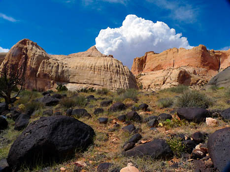 Capitol Reef