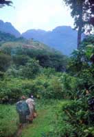 Ruwenzori