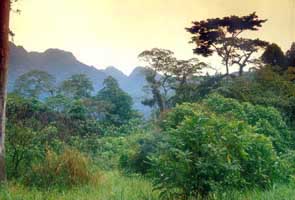 Ruwenzori