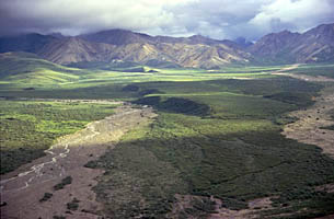 Denali - Aljaka, USA