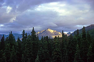 Denali - Aljaka, USA