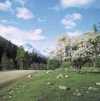 dol eky Zelenuk